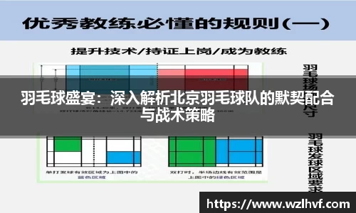 羽毛球盛宴：深入解析北京羽毛球队的默契配合与战术策略