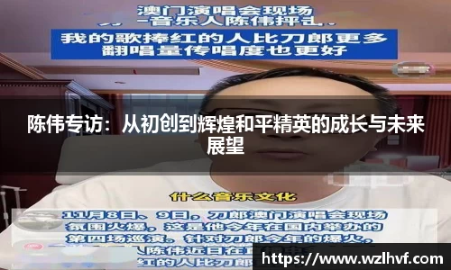 陈伟专访：从初创到辉煌和平精英的成长与未来展望