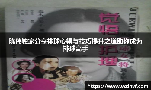 陈伟独家分享排球心得与技巧提升之道助你成为排球高手