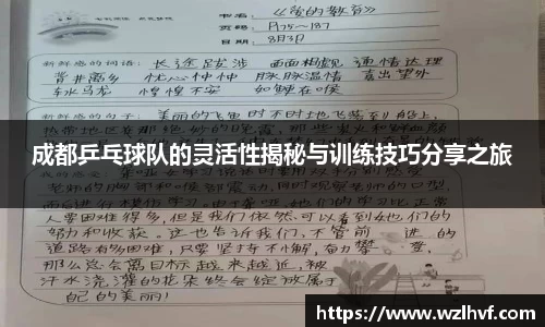 成都乒乓球队的灵活性揭秘与训练技巧分享之旅