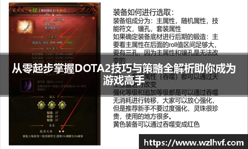 从零起步掌握DOTA2技巧与策略全解析助你成为游戏高手