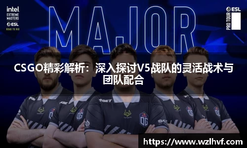 CSGO精彩解析：深入探讨V5战队的灵活战术与团队配合
