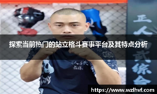 探索当前热门的站立格斗赛事平台及其特点分析