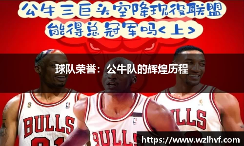 球队荣誉：公牛队的辉煌历程