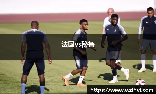 法国vs秘鲁