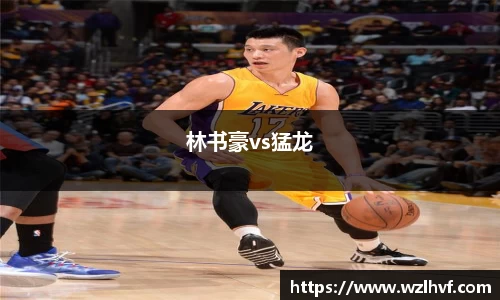 林书豪vs猛龙