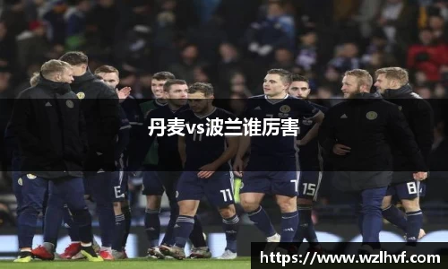 丹麦vs波兰谁厉害