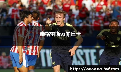 泰格雷斯vs帕丘卡