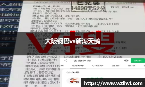 大阪钢巴vs新泻天鹅