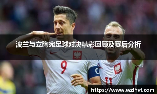 波兰与立陶宛足球对决精彩回顾及赛后分析