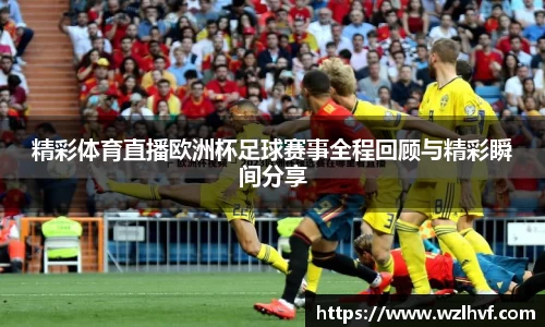 精彩体育直播欧洲杯足球赛事全程回顾与精彩瞬间分享