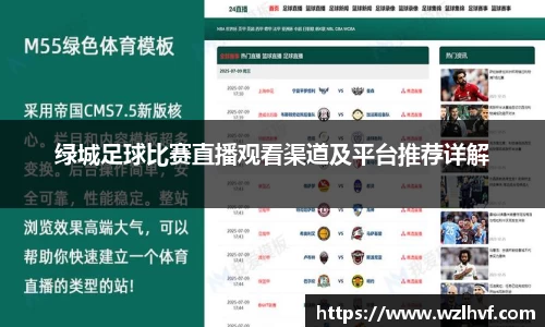 绿城足球比赛直播观看渠道及平台推荐详解